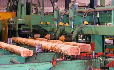 Lumber Quality Control